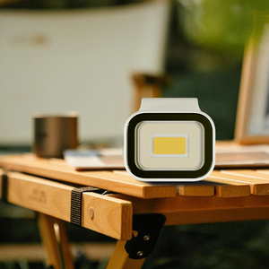 Portable Magnetic lamp